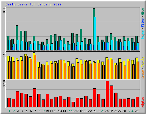 Daily usage for January 2022