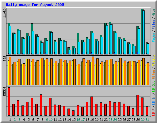 Daily usage for August 2025
