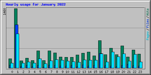 Hourly usage for January 2022