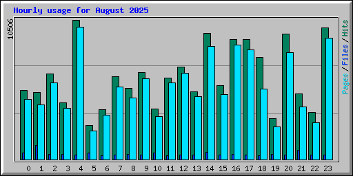 Hourly usage for August 2025