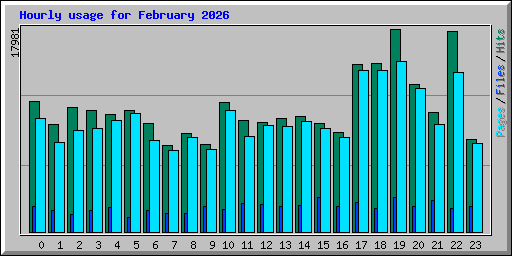 Hourly usage for February 2026