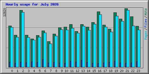 Hourly usage for July 2026