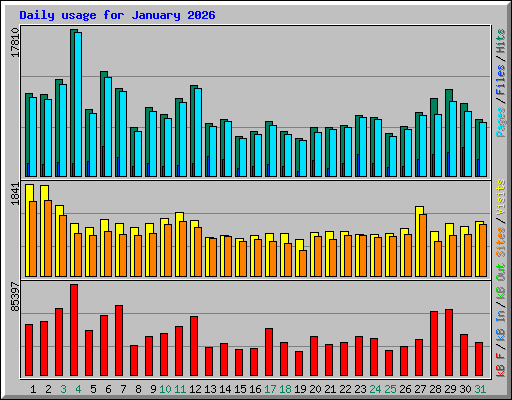 Daily usage for January 2026