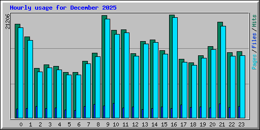 Hourly usage for December 2025
